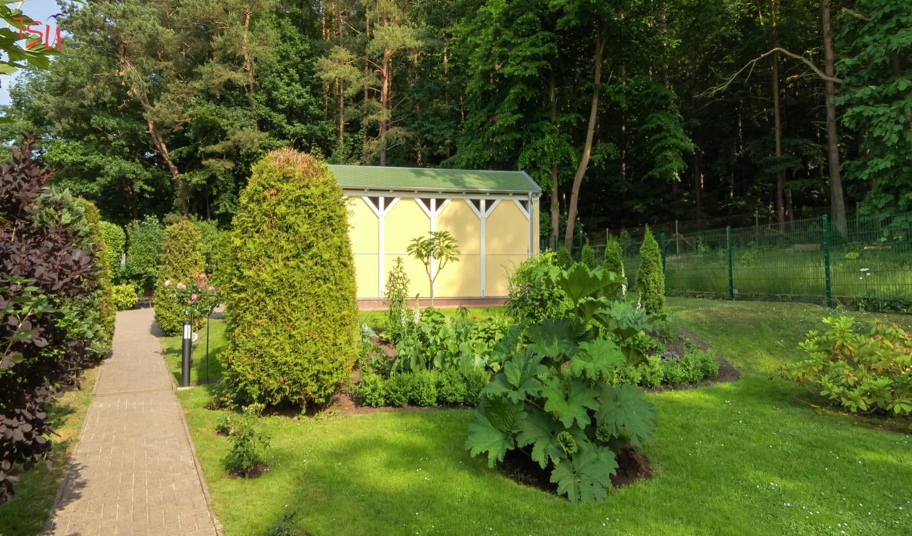 Haus Am Wald Daire Heringsdorf Dış mekan fotoğraf