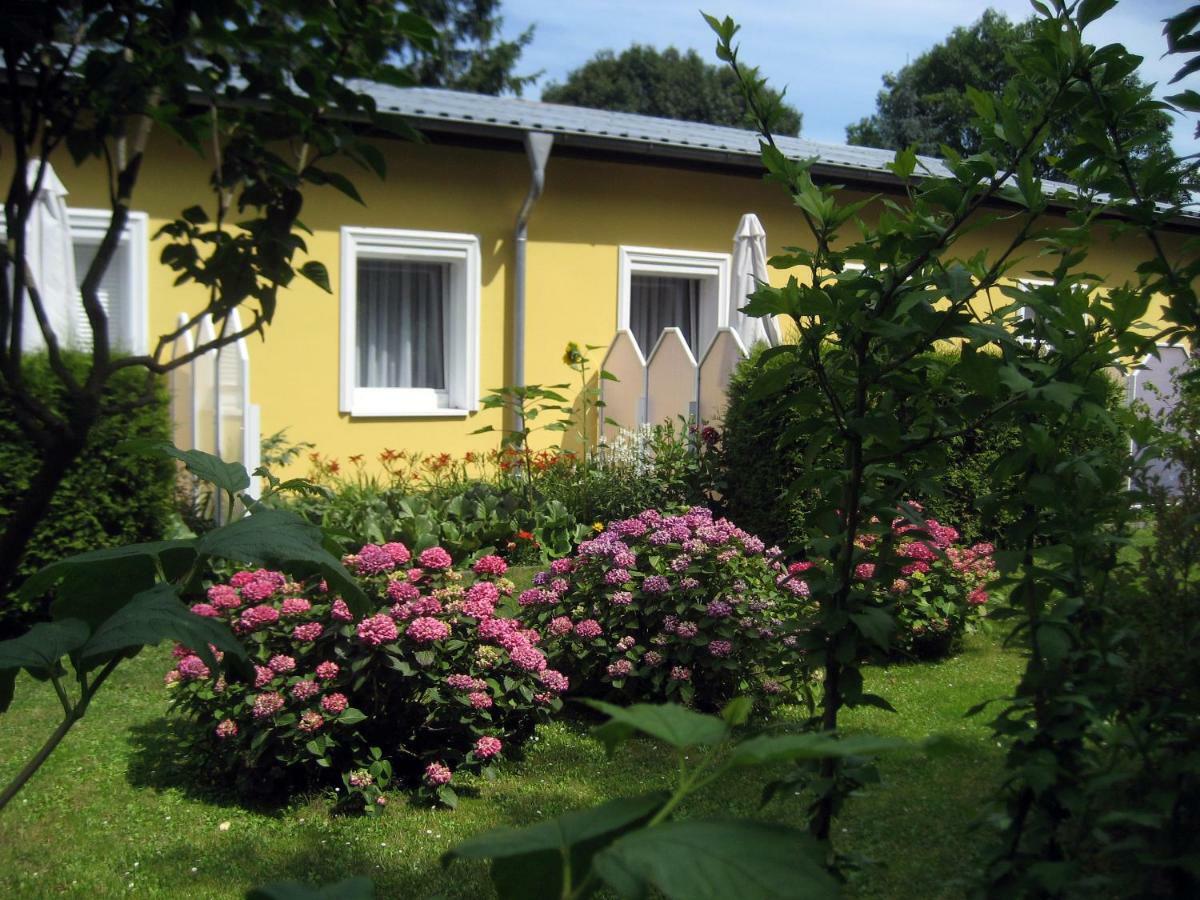 Haus Am Wald Daire Heringsdorf Dış mekan fotoğraf